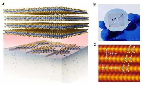 突破性成果 我國(guó)高校科研團(tuán)隊(duì)首創(chuàng)