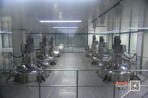 隱形冠軍 走到舞臺中央 寫在溫縣通過 中國速食調味料之都 評審時